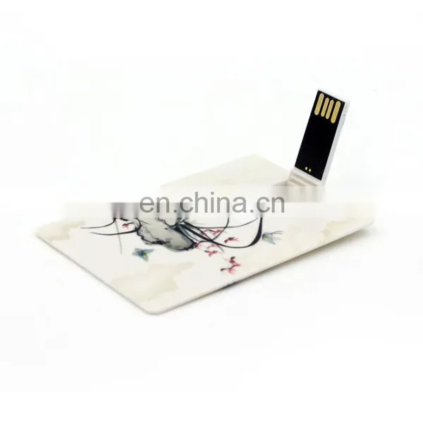 Shenzhen Factory Credit Card USB Memory Sticks  Plastic Usb Card Flash Drive With Printing Logo photo-4