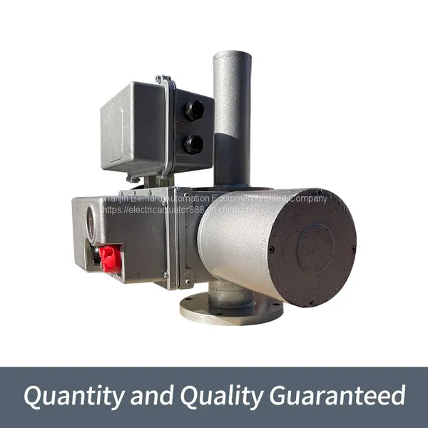 Bernard Angle Stroke Electric Actuator BDZ-45F1250L Strongly Sealed Electric Flow Valve photo-3