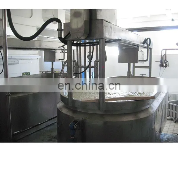 String Cheese Molding Machine Mozzarella Cheese Making Machine photo-5