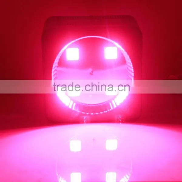 300W Full Spectrum Hydroponics COB Led Grow Light photo-4