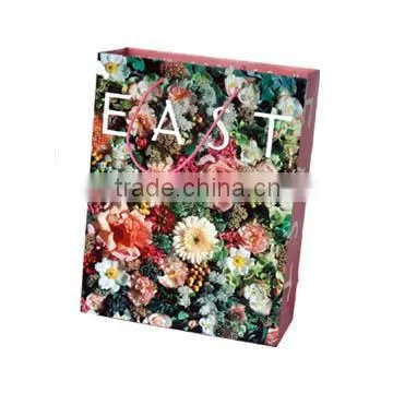 Paper Shopping Bag