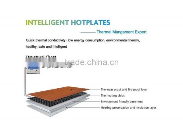 Heating Floor With Imported Korean Insulation Fireproof PET Material Micro-heater Chip photo-3