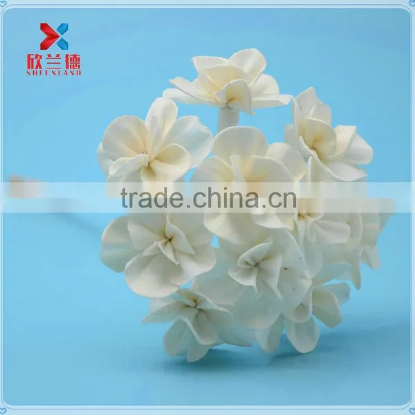 Most Popular Decorative Natural White Dried Flower Wooden Sticks Wholesale With Cheap Price photo-6
