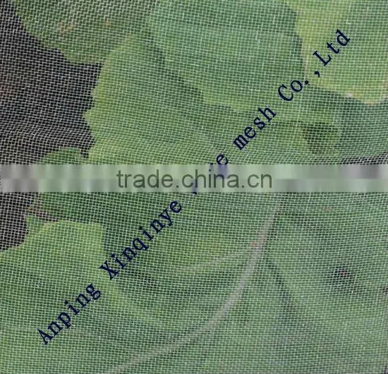 insect screen doors and windows Factory