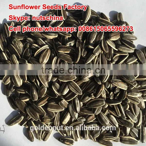 Chinese Sunflower Seeds 5009 photo-6