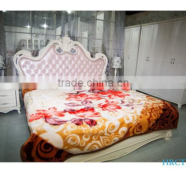 Hot Selling New Design 100 % Polyester Korean Style 2 Ply Mink Blanket photo-2