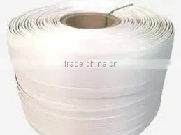 pp Strapping Band