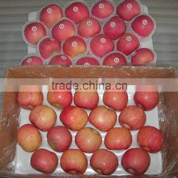 2015 Fresh Apple Fruits Red Fuji