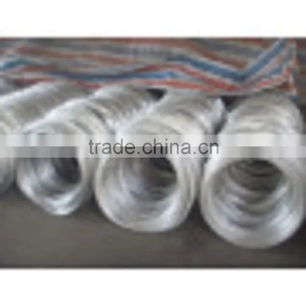 Low Price Electro Galvanized Straight Cut Wire From JINZHOU FACTORY photo-5