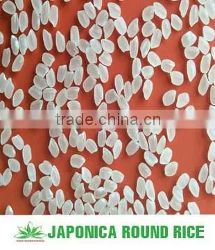VIETNAMESE JAPONICA RICE - GOOD PRICE photo-3