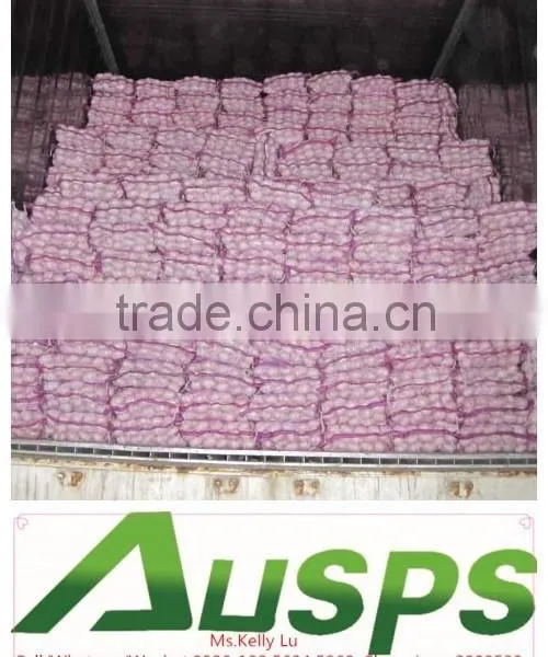 China Garlic Price per Ton photo-5