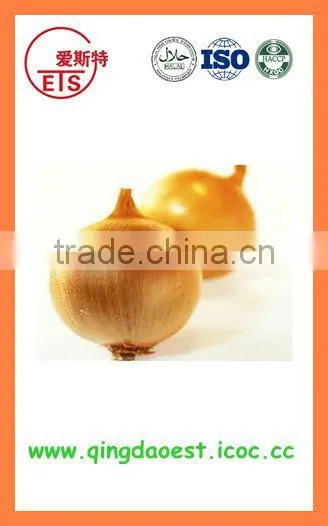 BUlk 2016 New Crop Fresh Yellow Onion photo-4