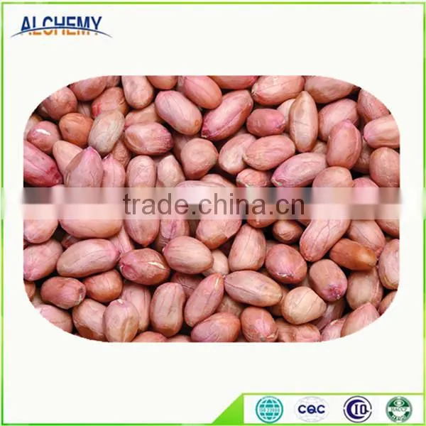 Chinese Peanuts Kernel for Hot Sale and With Free Sample for You photo-5
