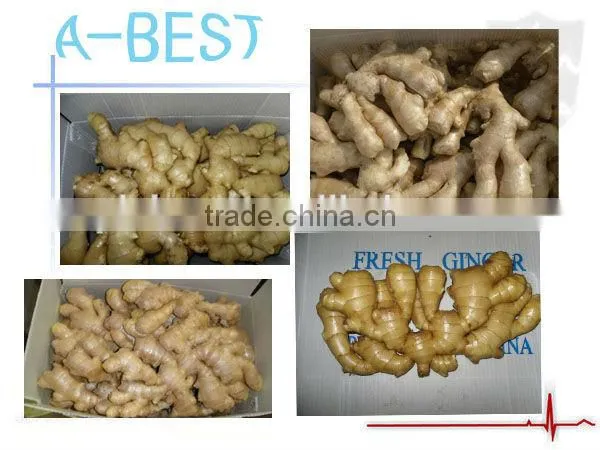 Organic Fresh Ginger photo-6