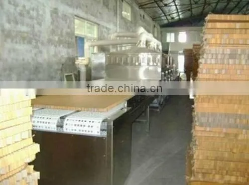 Full-automatic Microwave Dryer and Sterilizer for Pencil Plate photo-2