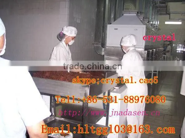 Tunnel Type Microwave Drying Equipment for Bee/fish/chicken Jerky photo-3