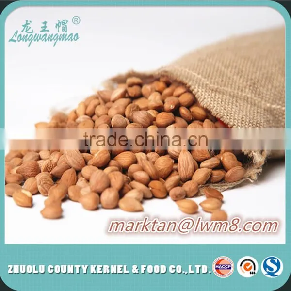 The Most Competitive Price of Sweet Apricot Kernels in 2015.