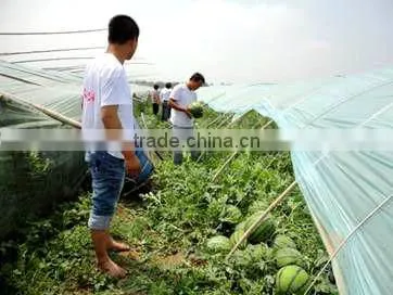 Macroelement Fertilizer Completely Water Soluble Liquid photo-4