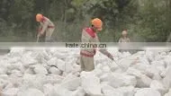 Vietnamese Calcium Carbonate With High Quality photo-5