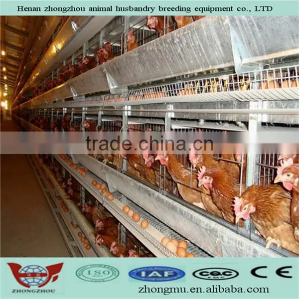 High Quality Automatic Chicken Farm Poultry Equipment for Sale