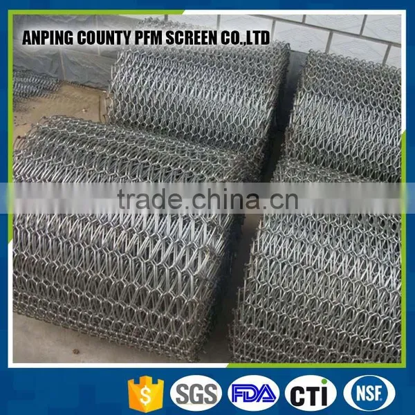 Balance Stainless Steel Mesh Weave Conveyor Belt Mesh photo-6