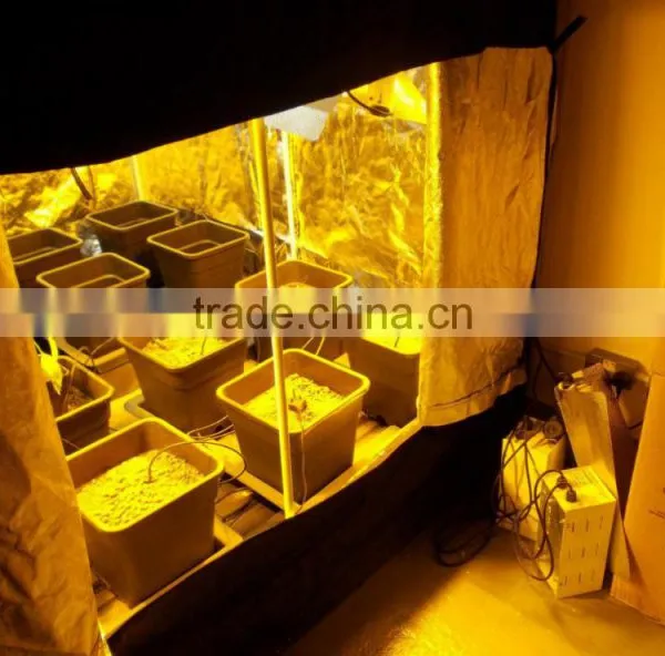 PEVA Quality 600x300X200 Grow Tent, Indoor Homebox, Garden Greenhouses