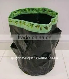 Strawberry Planter Bag