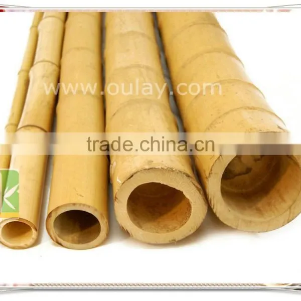 Backyard Scape in Bamboo Cane ,bamboo Poles Wholesale photo-2