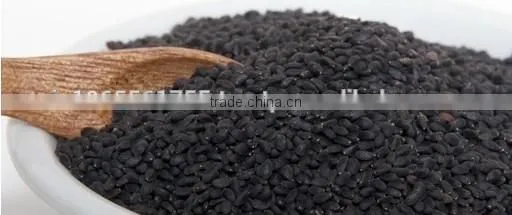 Basil Seeds for Drink