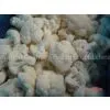 IQF Cauliflower
