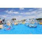 Big Inflatable Water Walking Ball Life Sized Hamster Ball Pool Toy For Water Park