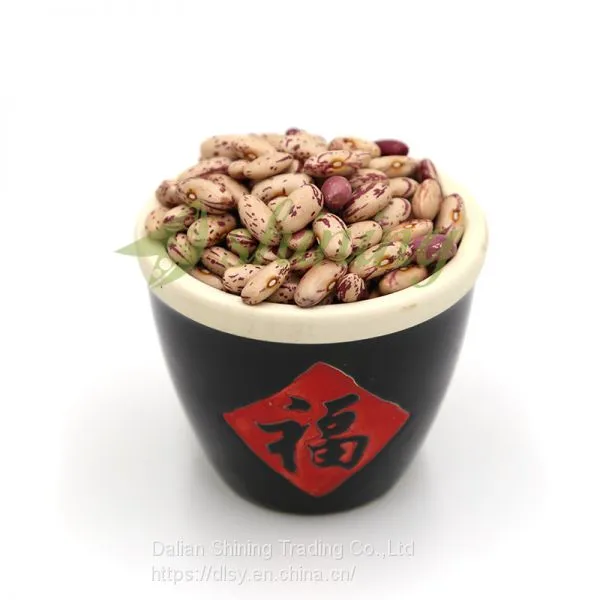 Wholesale Organic Dry Pinto Beans,Price For Organic Pinto Beans