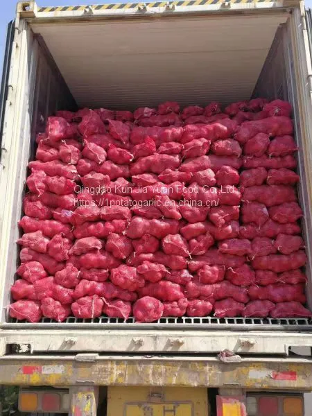 Fresh Onion photo-3