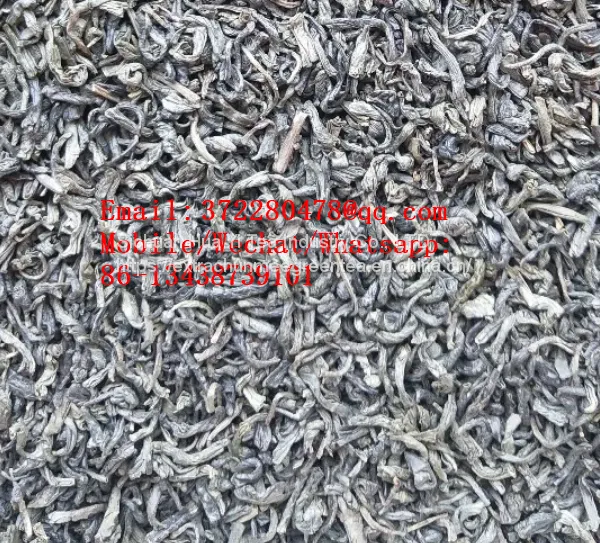 Gunpowder op Green Tea Chunmee Tea 3008 9366 9367 9368 9369