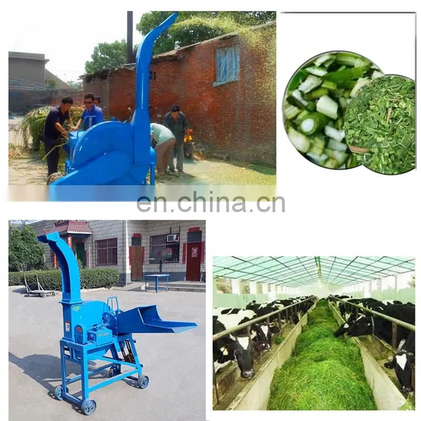 Easy Operated Electric Manufacture Cow Farm Dry and Fresh Corn Straw Feed Forage Grass Maize Silage Chopper Machine photo-4