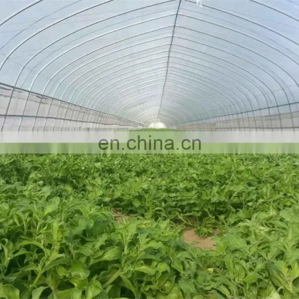 High Quality HDPE Fruit Tree Anti-insect Net 40 Mesh for Vegetable Gardens photo-5