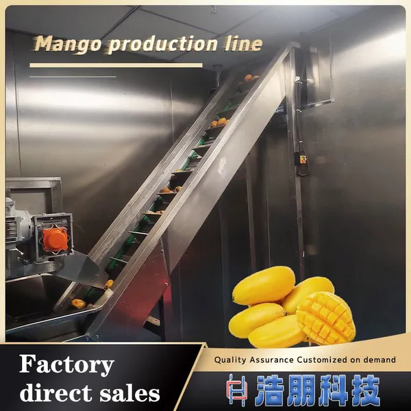 Mango Factory Fruit Paste and Juice Processing Production Line / Mango Pulp Concentrated Jam Processing and Manufacturing Equipment
