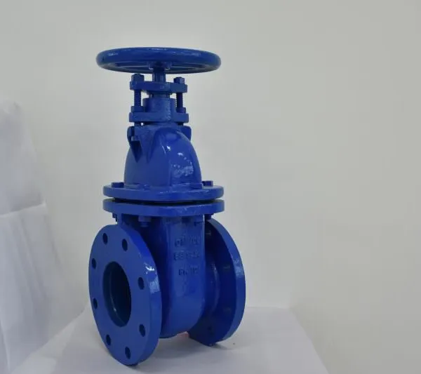 Low Leakage BS Flanged Gate Valve Rising Stem Resilient Seat PN10 photo-5