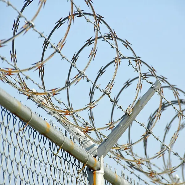 Hot Selling BTO-22 Type Galvanized Razor Wire Fence Garden Anti-Concertina Barbed Wire at an Attractive Price photo-5