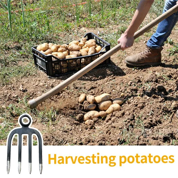 One Piece Forged Steel Forks Garden Fork Farming Tools for Agriculture Farm Digging Soil Turning and Manure Work photo-5