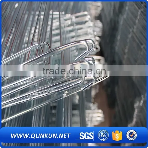 a Type Cheap Price Chicken Cage for Hen photo-5