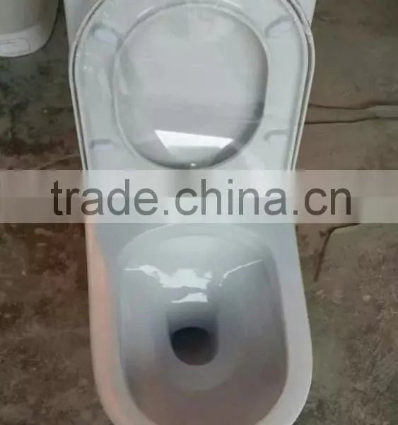 Washdown Sanitary Ware One Piece Toilet wc Ceramic Cheap Sanitary Ware photo-5