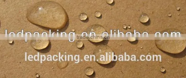 Waterproof Carton Box for Packing Frozen Chicken photo-2