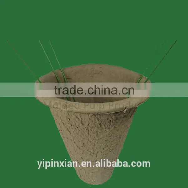 SGS Eco Friendly Disposable Paper Pulp Molded Packaging,disposable Paper Pulp Tray photo-5