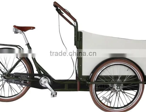 Electric Cargo Bike for Family Use photo-4