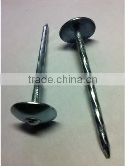 Galvanised/zinc Plated Umbrella Roofing Nails With Rubber Washer photo-5