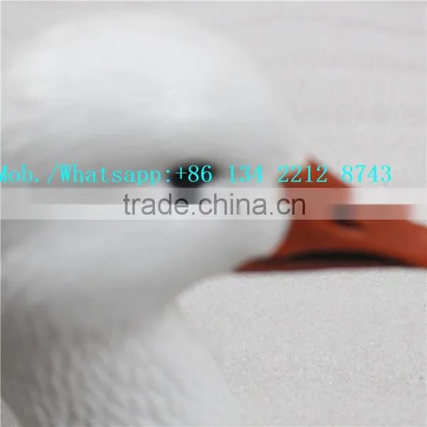 Hot Selling Wind Sock Snow Goose Decoy Plastic Head From Xilei photo-4