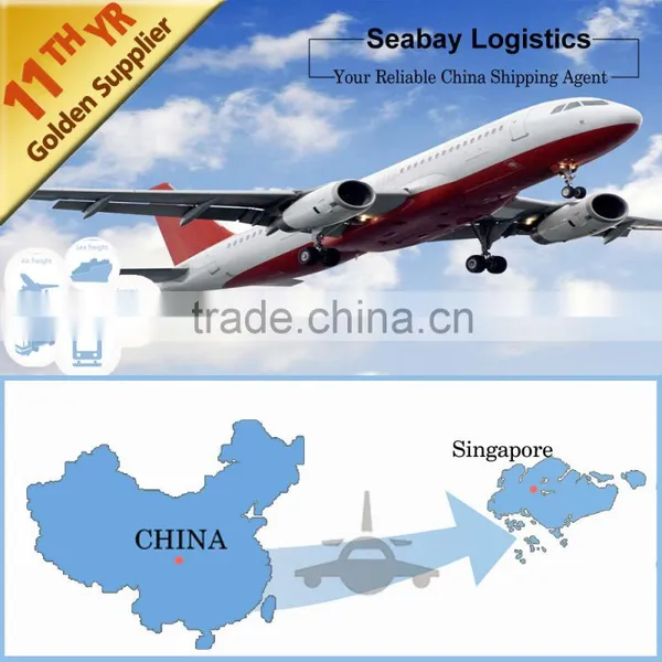 Professional Cargo Shipping Agency to Singapore photo-2