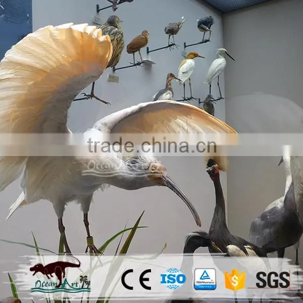 Life Size Animatronic Bird photo-4