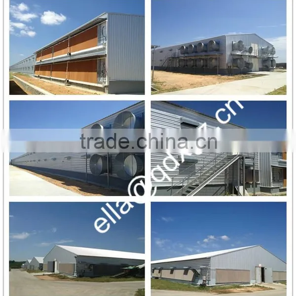 Chicken Coopand Full Automatic Operation Equipments photo-5